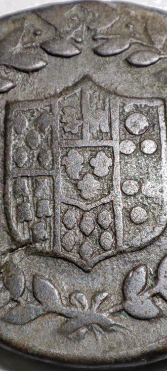 WhatsApp Image 2023-01-05 at 12.56.12.jpeg