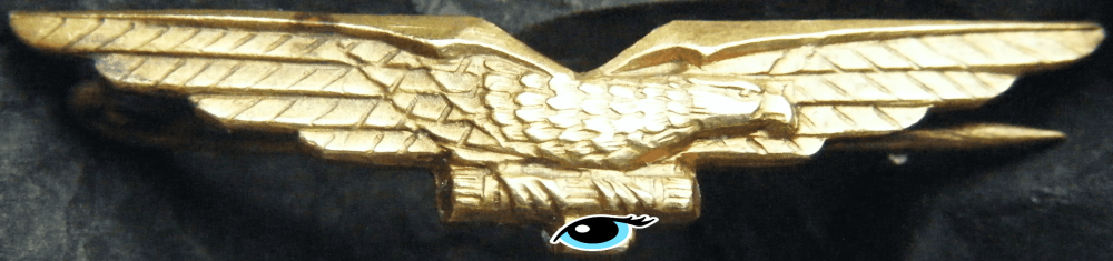 DSCF8008 (2)io (1) 500kb.png