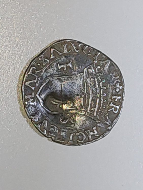 Immagine WhatsApp 2022-12-06 ore 17.18.46.jpg