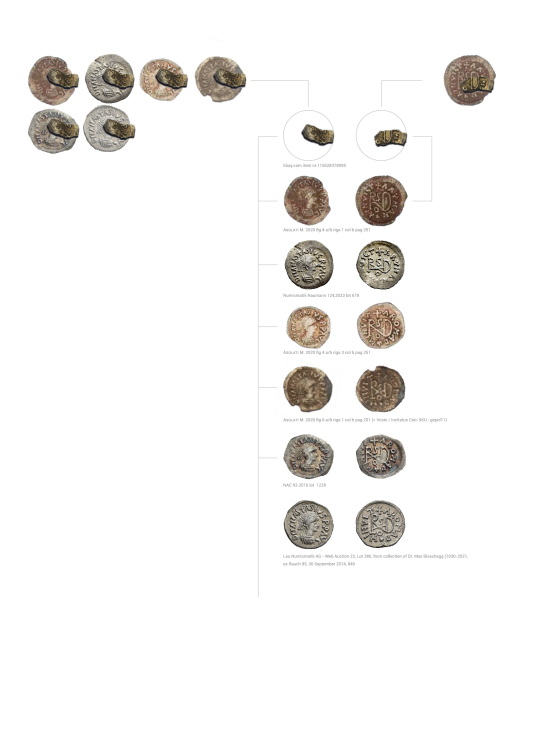 frammento quarto di siliqua.png