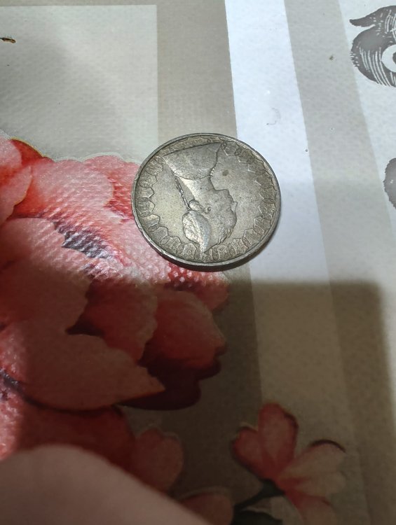 Immagine WhatsApp 2023-01-06 ore 22.38.52.jpg