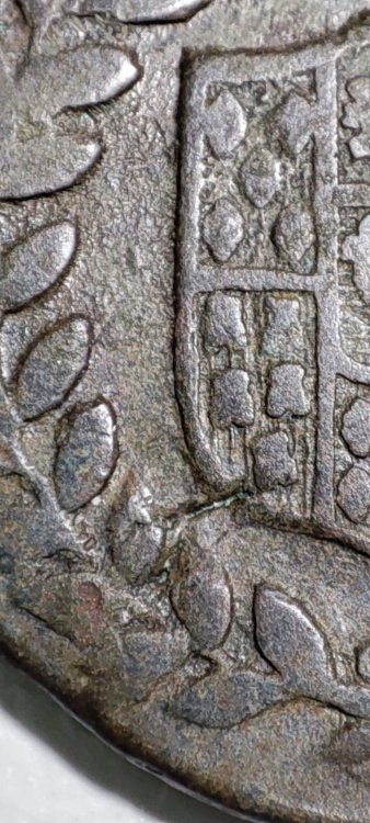 WhatsApp Image 2023-01-05 at 12.56.19.jpeg