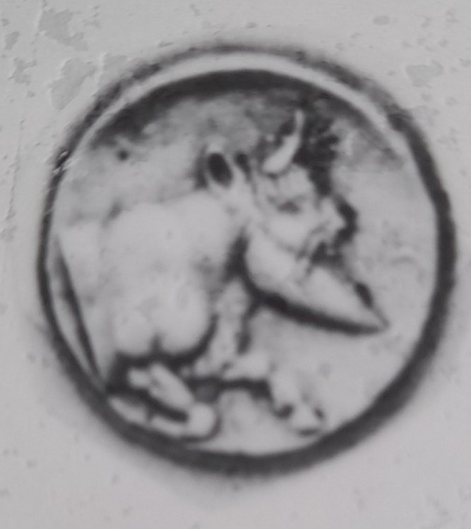 gela gillet rovescio.jpg