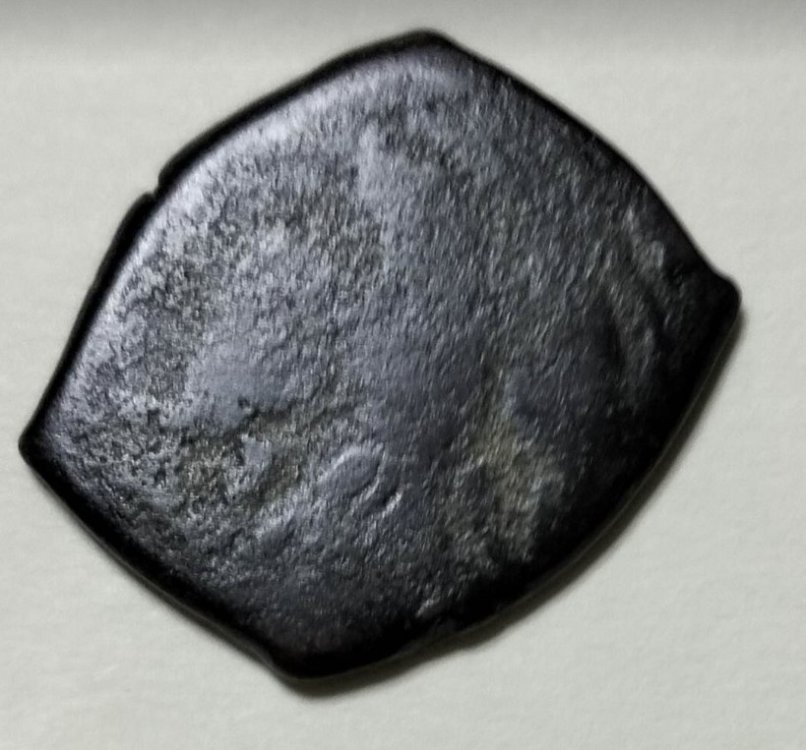 Immagine 2023-01-06 093016.jpg