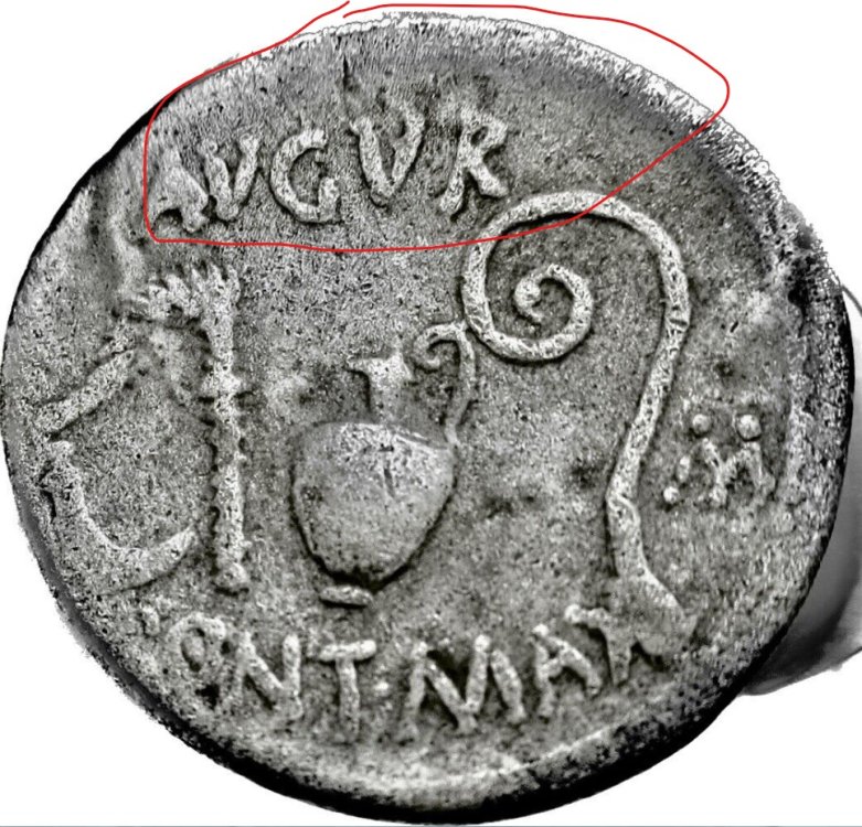 Immagine 2023-02-12 120850.jpg