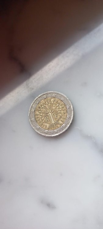 moneta 2 euro_2.jpg