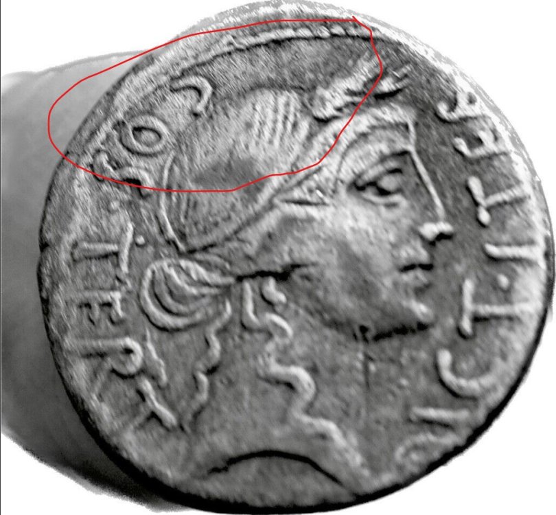 Immagine 2023-02-12 120745.jpg