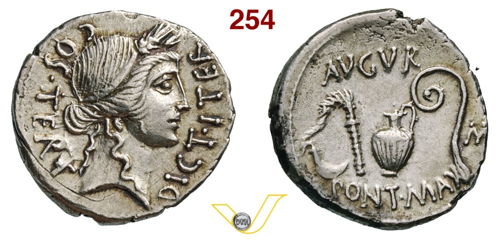 Varesi Gorgone 2020image00254.jpg