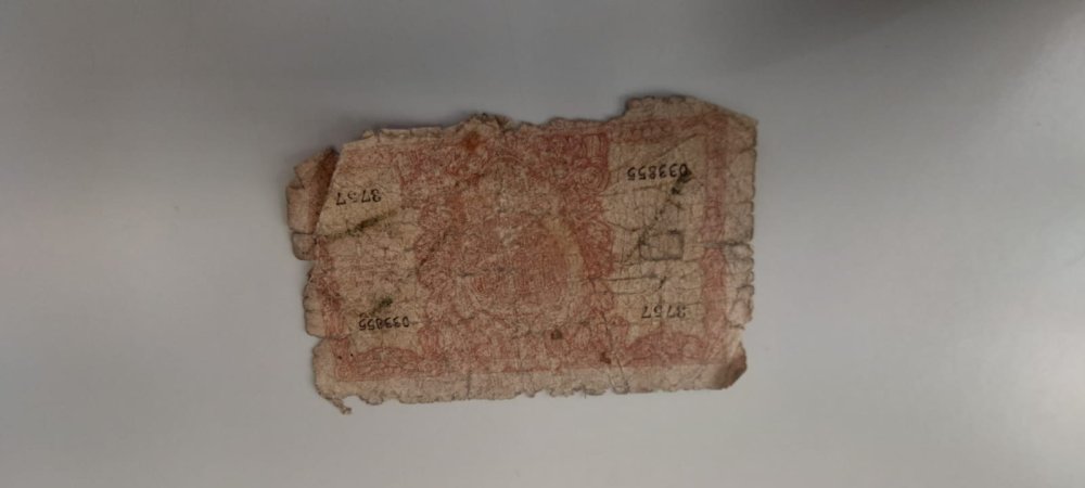 WhatsApp Image 2023-02-07 at 11.52.21.jpeg