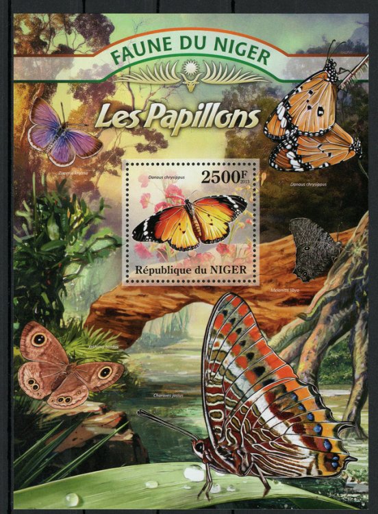 NIger-BFPapillons.jpg