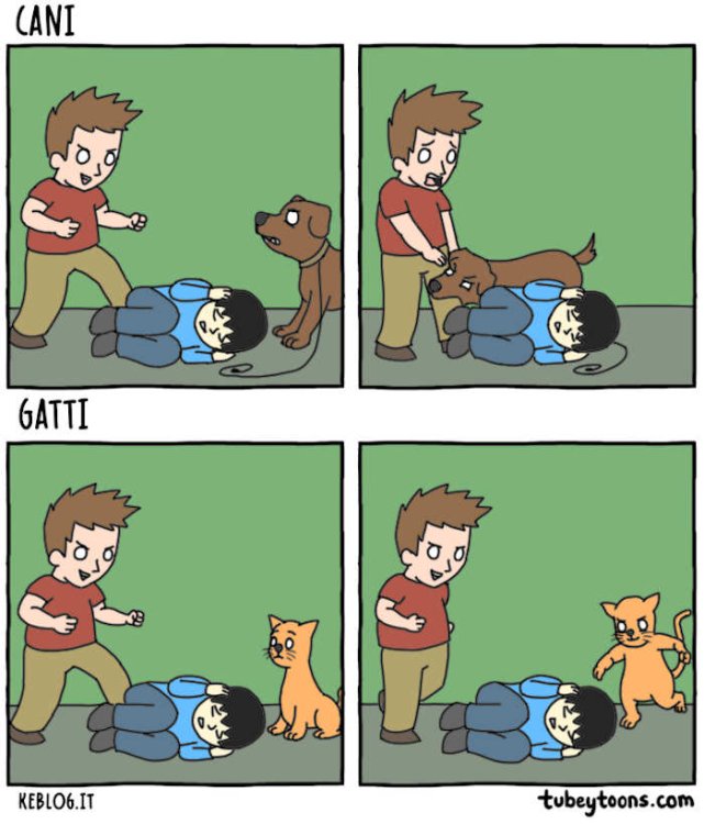 cani-gatti-differenze-vignette-divertenti-09.jpg