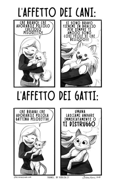 cani-gatti-differenze-vignette-divertenti-12.jpg