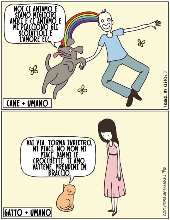 cani-gatti-differenze-vignette-divertenti-15.jpg