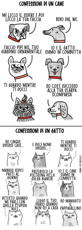 cani-gatti-differenze-vignette-divertenti-21.jpg