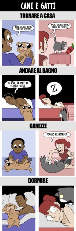 cani-gatti-differenze-vignette-divertenti-22.jpg
