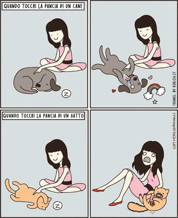 cani-gatti-differenze-vignette-divertenti-23.jpg