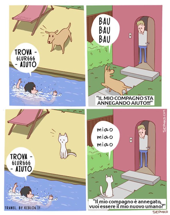 cani-gatti-differenze-vignette-divertenti-7.jpg