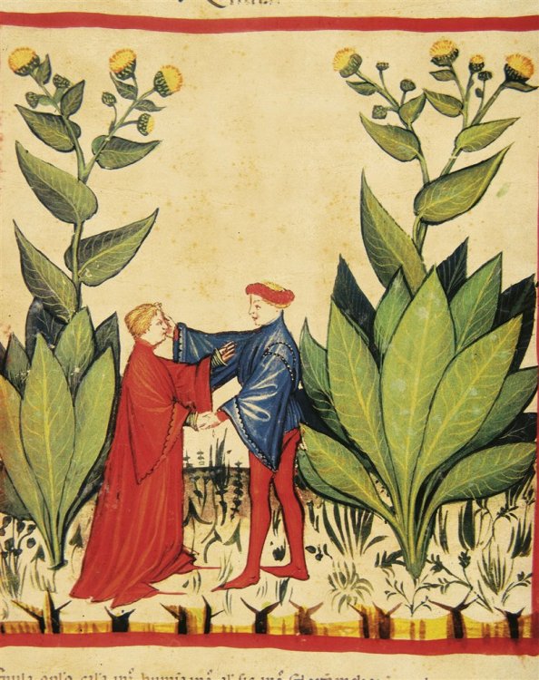 raccolta-della-canna-da-zucchero-miniatura-dal-codex-vindobonensis-xiv-secolo-biblioteca-nazionale-vienna_05ccdbbb_800x1011.jpg