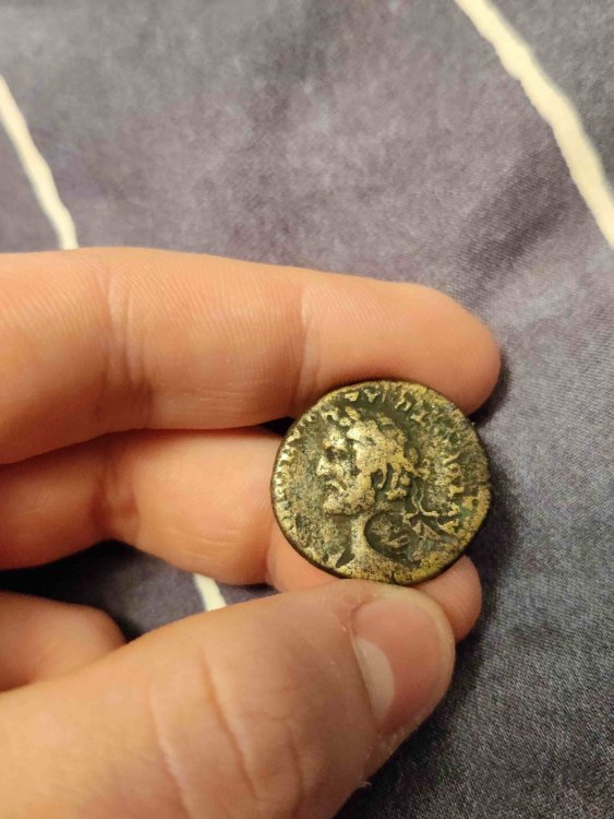 IMG_20230303_142408 (2).jpg