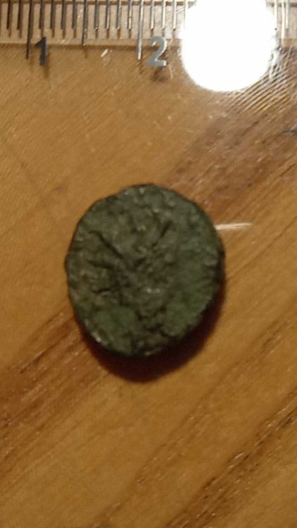 2023-3-2 19-34-16.jpg