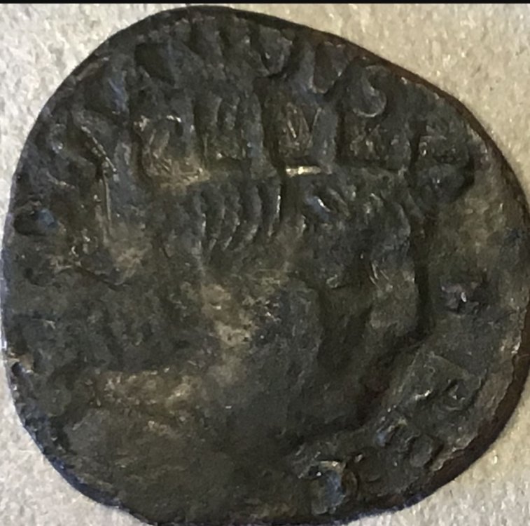 Screenshot_20230328_235612_Samsung Internet.jpg