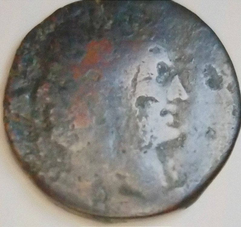 WhatsApp Image 2023-03-19 at 12.02.16 (1).jpeg