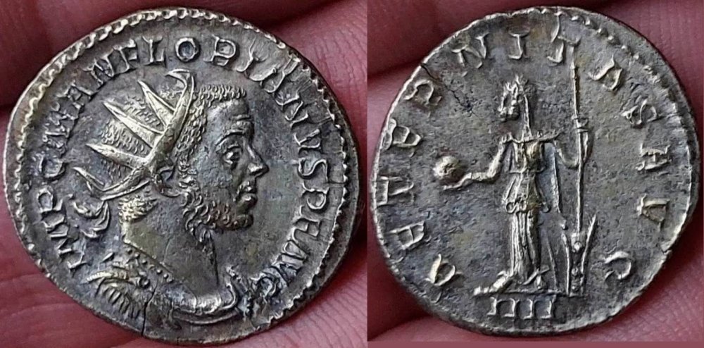 329108459_732156381958103_7020572379235552043_n (1).jpg