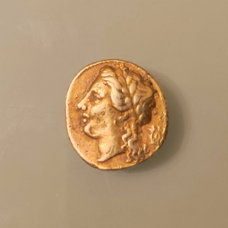 WhatsApp Image 2023-02-19 at 19.21.09.jpeg