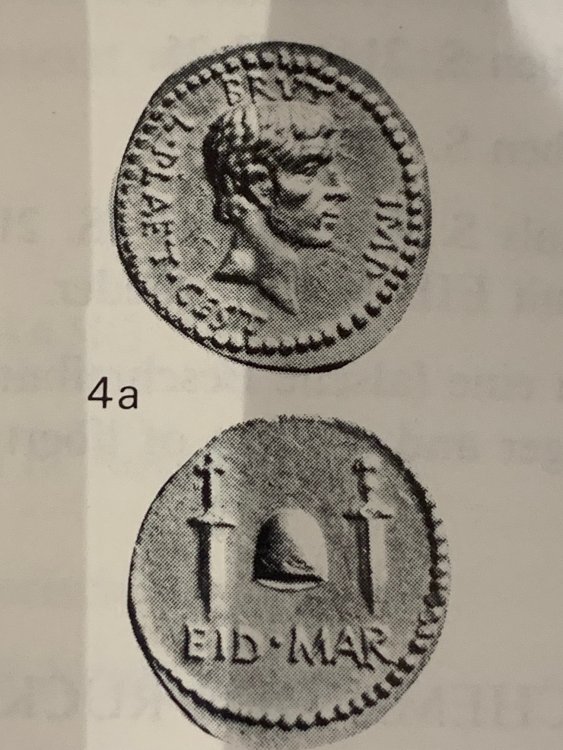 EIDIBUS - Cahn 4a.jpg