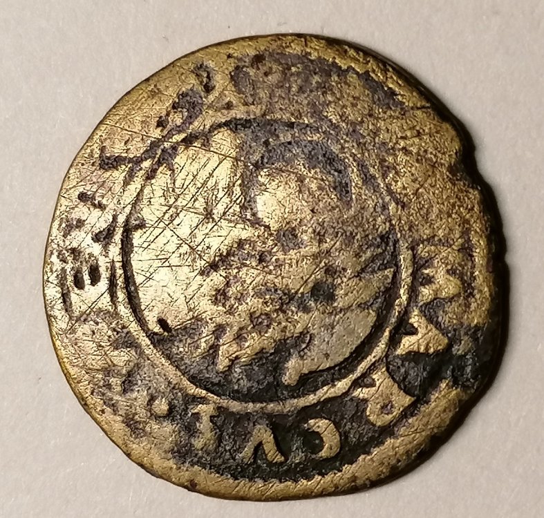 bagattino dritto.jpg