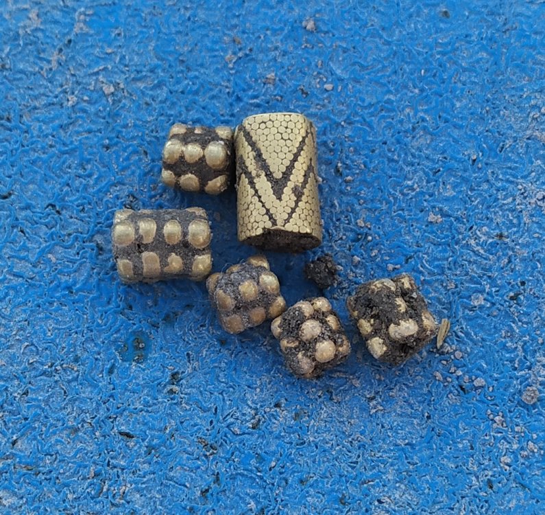 IMG_20220916_111450 (1)~2.jpg