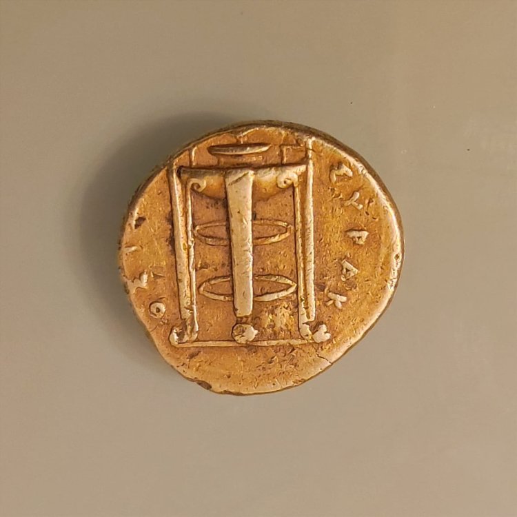 WhatsApp Image 2023-02-19 at 19.21.08.jpeg