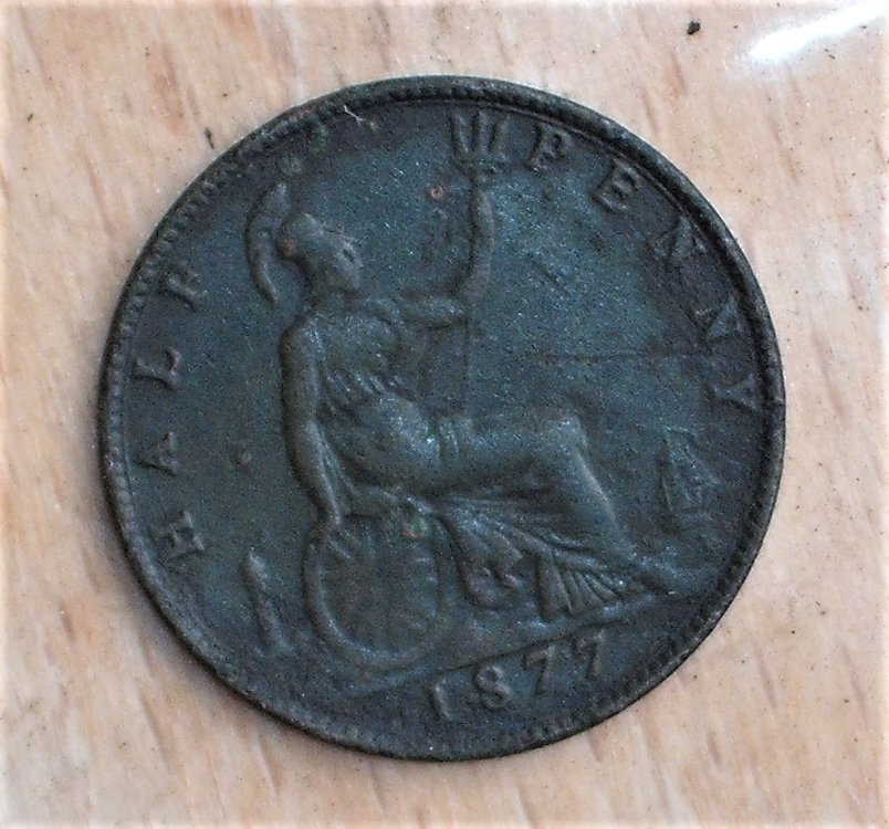half penny 1877 r.JPG
