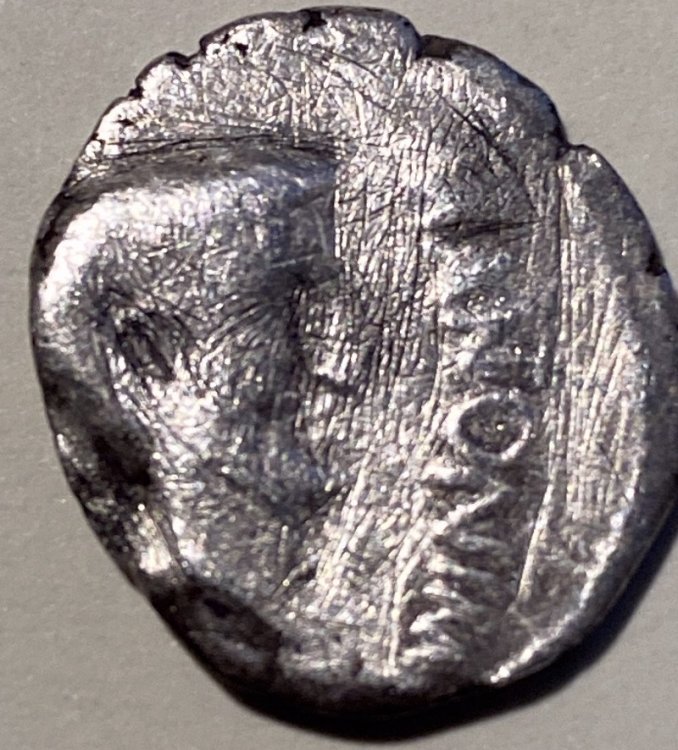 Denario_2l.thumb.jpg.17fe31bd1f11e36c28c49486e21b658e.jpg