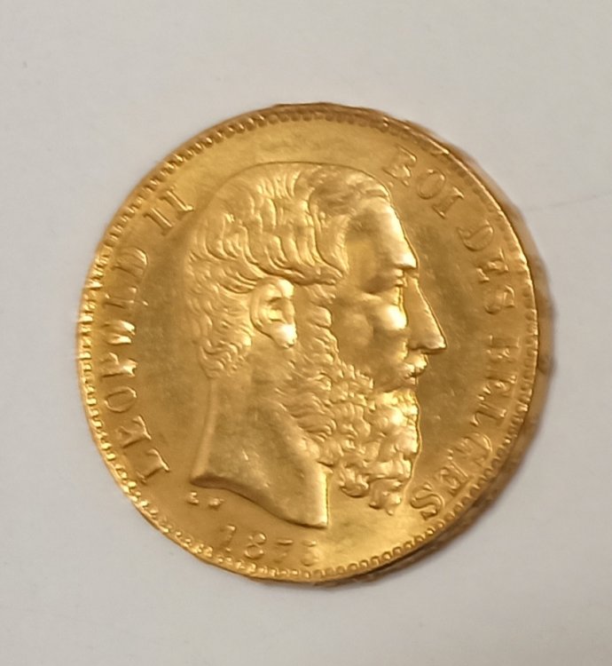 Moneta Oro 20 FR 1875.jpg