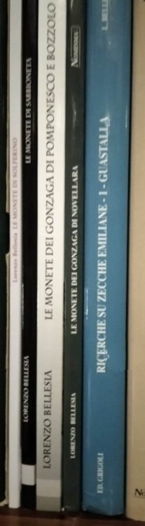 Bellesioteca Gonzaghesca.jpg