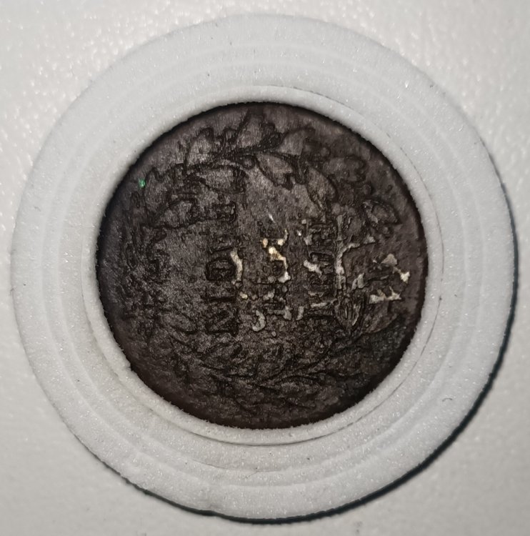 IMG20230424192714 (1).jpg