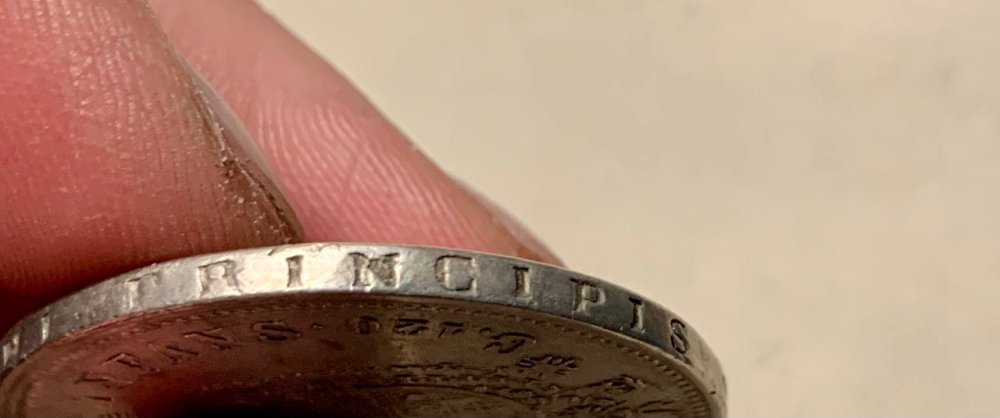 photo1682097702 (2).jpeg