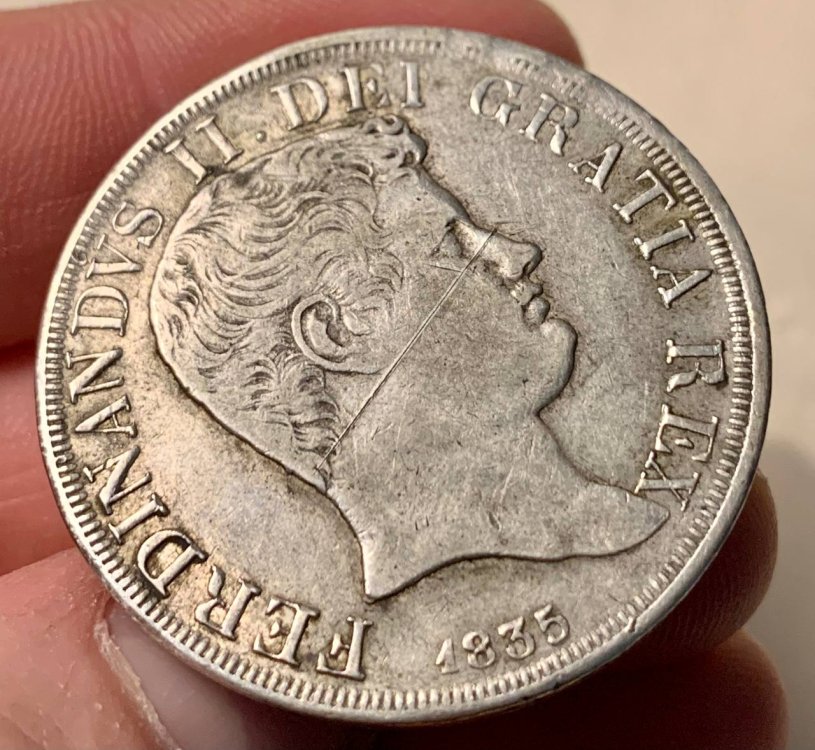 photo1682103538 (4).jpeg