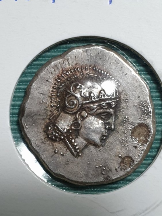 Fronte 20230413_194604.jpg