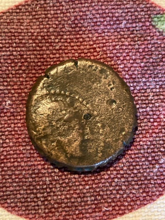 Senza titolo-min(2).jpg