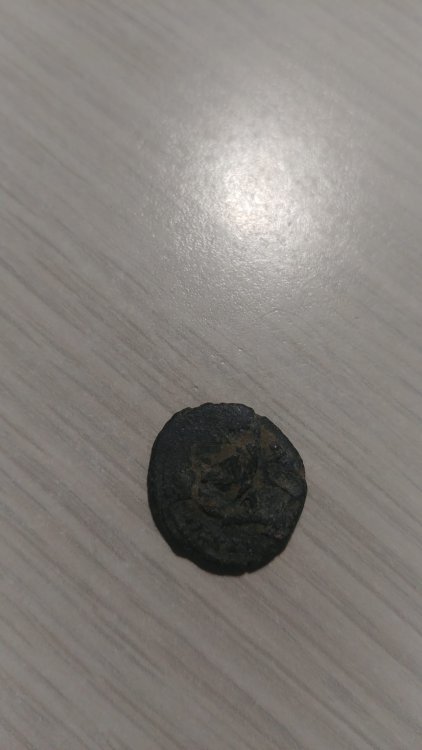 WhatsApp Image 2023-04-20 at 12.35.45 (1).jpeg