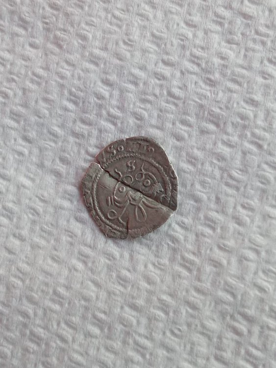 WhatsApp Image 2023-04-01 at 19.48.07.jpeg