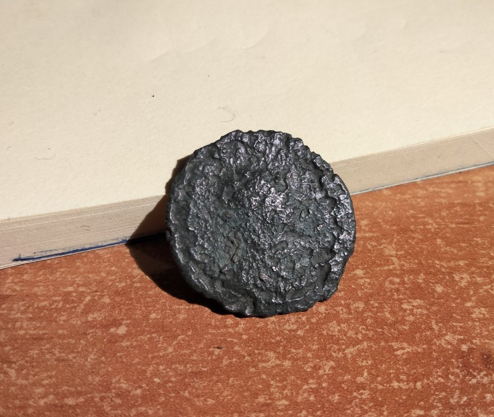 IMG20230415204419 (2).jpg