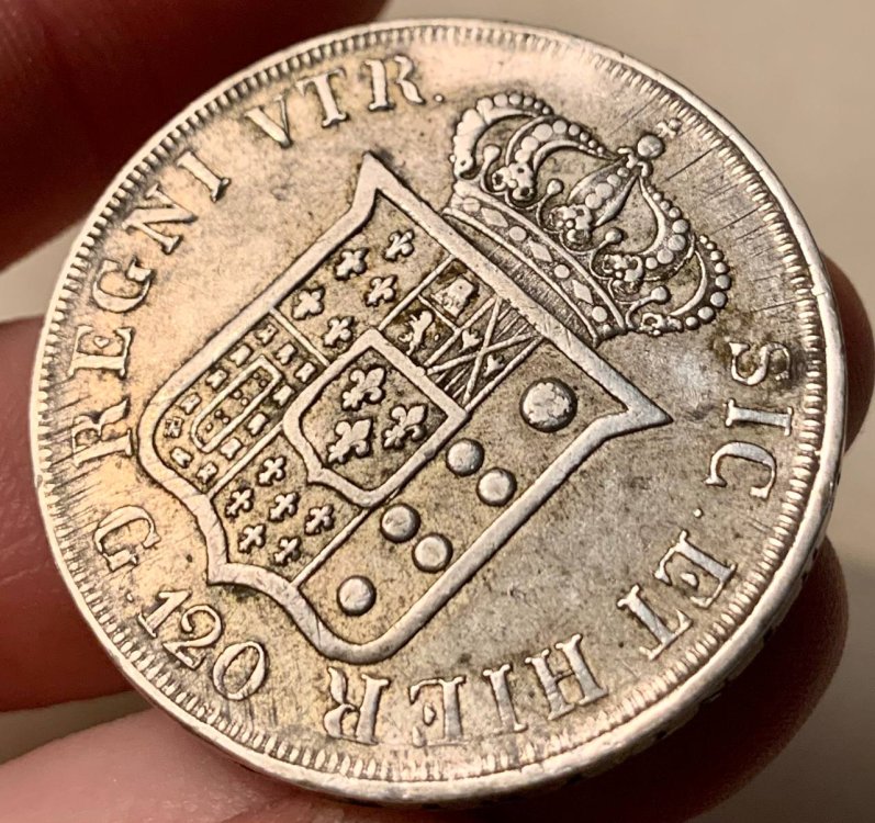 photo1682103538 (3).jpeg