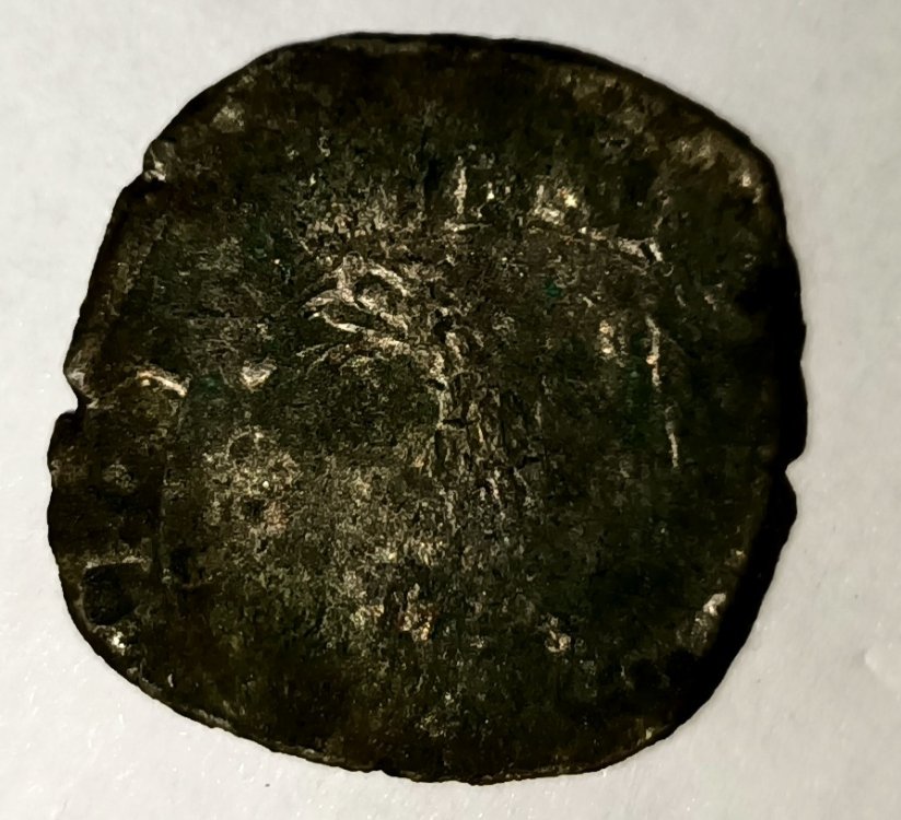 IMG20230613174508 (1).jpg