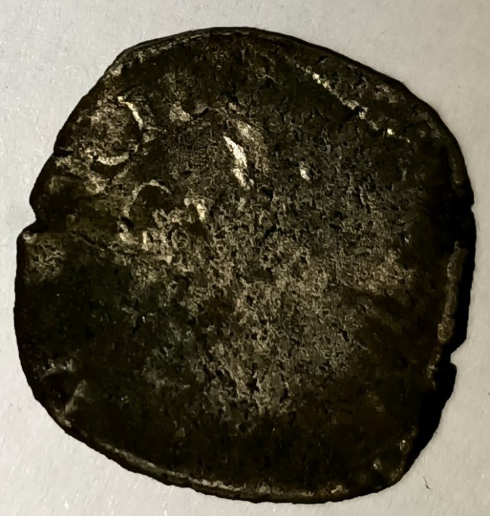 IMG20230613174516 (1).jpg