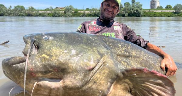 347437406_981301079708342_1964909077479538097_n-1685544103261.jpg--pesca_un_siluro_di_285_cm__e_record_mondiale.jpg