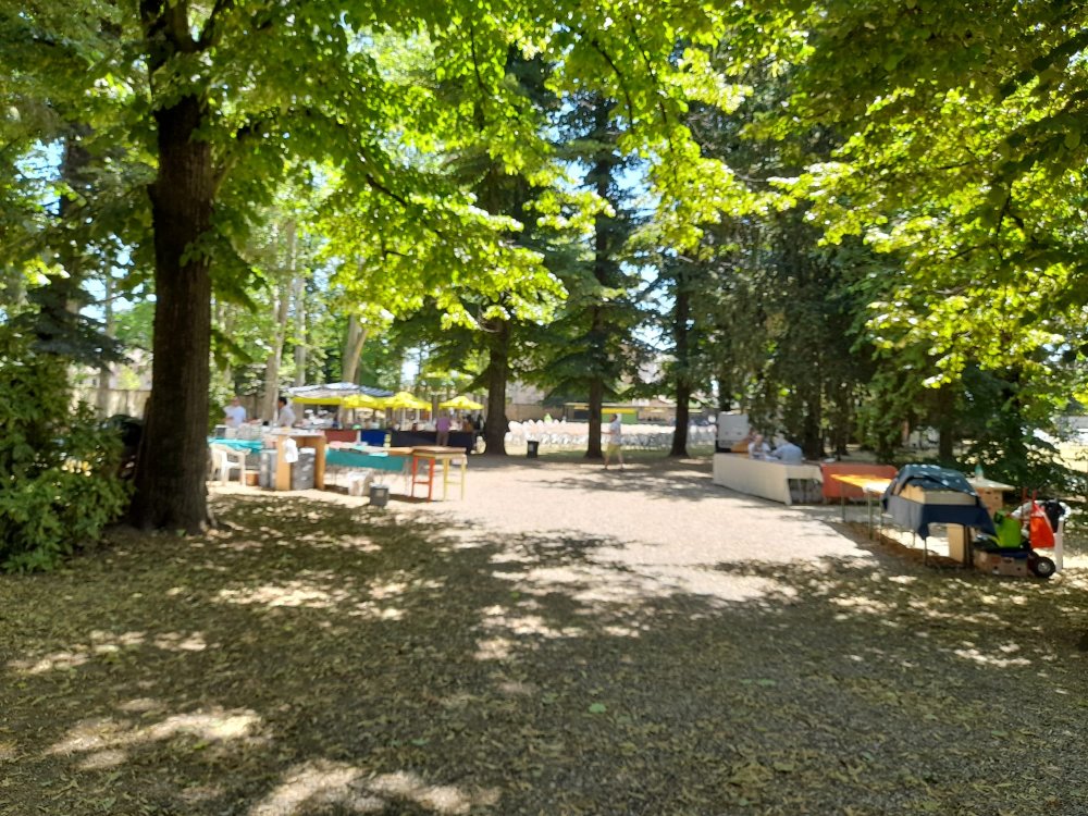 WhatsApp Image 2023-06-24 at 12.33.59.jpeg