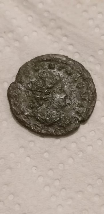 IMG_20230702_000300 [Risoluzione del desktop].jpg